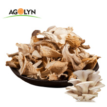 Good size dried by machine factory price Grey Oyster Mushroom